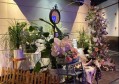 招聘文案负债多少（招募公告：我们重视每位成员的财务健康与成长）