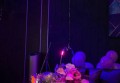 招聘奇葩文案（创意非凡的招聘信息）