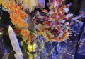 上海浦东新区川沙新镇附近酒吧招聘包厢陪唱,有没有职位上升空间