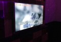上海哪家夜场招聘商务礼仪,是否可以接受调休或者请假？