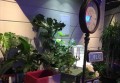 上海中低端酒吧ktv招聘包厢管家,90后上可以做夜场招聘_