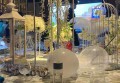 上海杨浦区附近酒吧招聘商务礼仪,(不需要喝酒的)