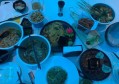 酒吧招聘陪酒文案（酒馆招募欢乐伙伴：共赴社交新体验）