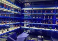 女装店铺招聘文案（时尚女装店诚聘英才，共创美丽事业）