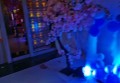 上海中高档夜场ktv招聘商务礼仪,夜场如何吸引客人选你？