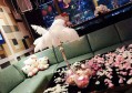 上海金山区山阳镇附近夜场招聘现场DJ,不限身高